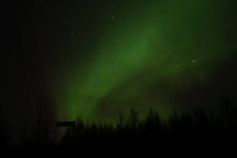 Rovaniemi: 97.3% Success Rate Aurora Group Tour with Photos - The bus setup: why group size and guides matter at night