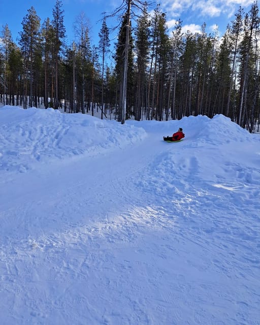 Rovaniemi: A Day Ticket to Kotatieva - Animal encounters and safety notes to keep your eyes open