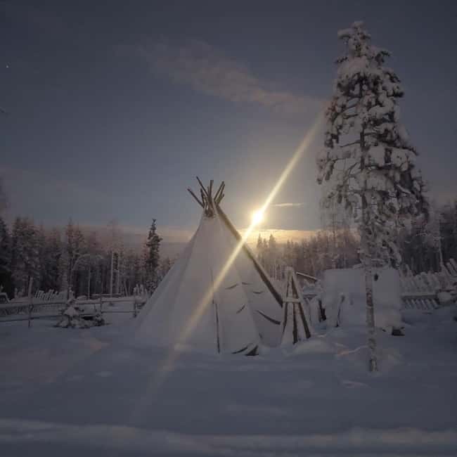 Rovaniemi: A Day Ticket to Kotatieva - The core activity: a 500-meter skating track through snowy trees