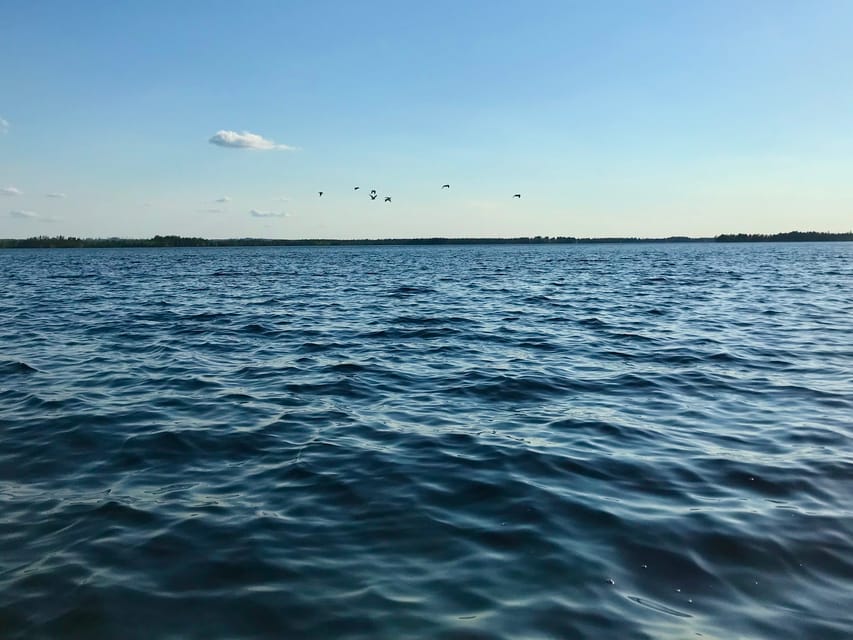 Rovaniemi: All-Day Canoe Adventure - Should You Book This Canoe Adventure?