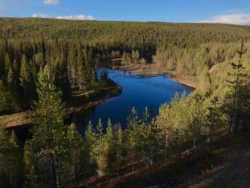 Rovaniemi: All-Day Canoe Adventure - Arctic Animals, Quiet Water, and Photo Tips That Actually Work