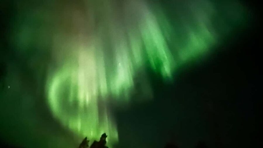 Rovaniemi: All-Inclusive Ranua Zoo Excursion & Aurora Dinner - Ranua Zoo to auroras: how the day actually flows