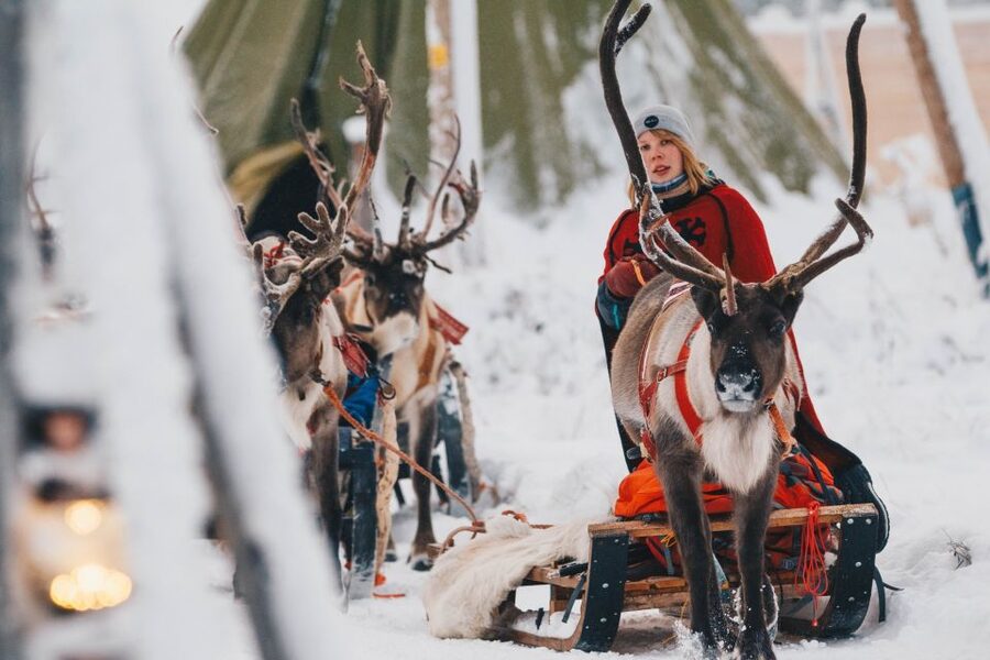 Rovaniemi: Apukka Reindeer Journey - Fireside finish: the warm drink that makes it feel complete
