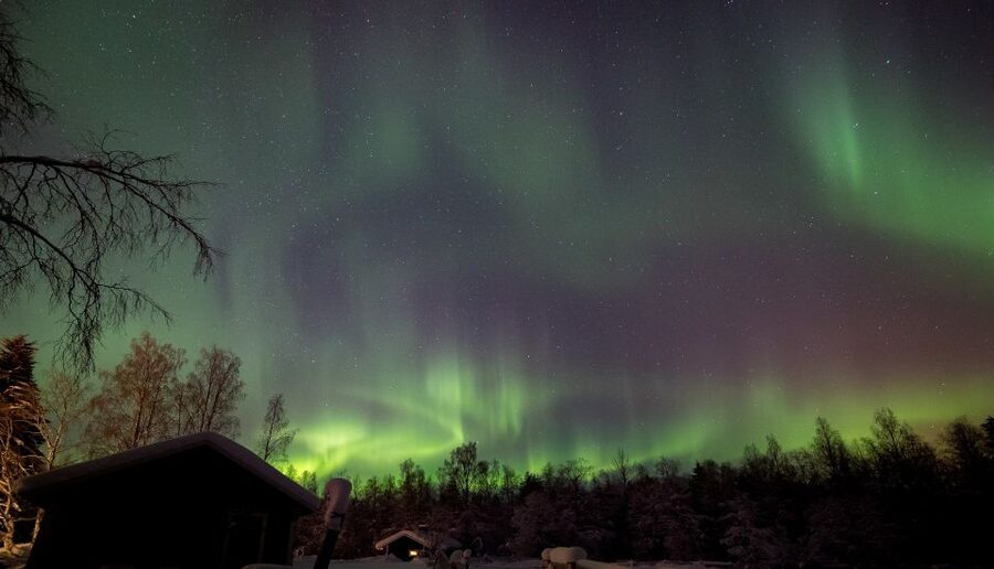 Rovaniemi: Apukka Reindeer Sleigh Ride at Night - Key points worth knowing before you book