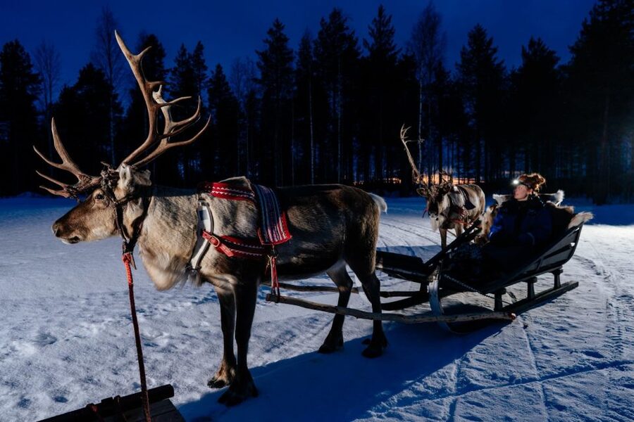 Rovaniemi: Apukka Reindeer Sleigh Ride at Night - The 3-hour itinerary: what happens on the sleigh ride, then at the hut