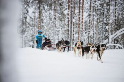 Arctic Circle Highlights by Snowmobile