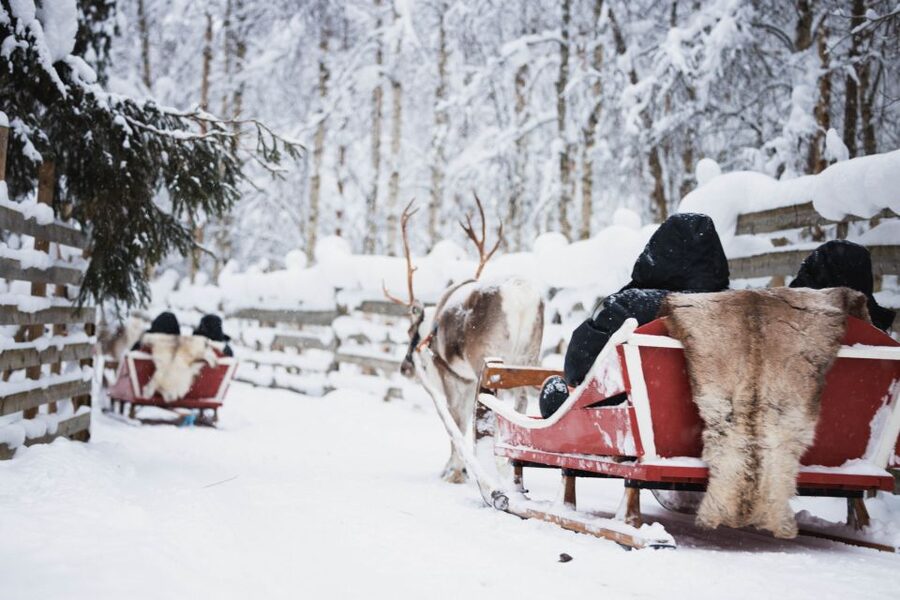 Rovaniemi: Arctic Circle Highlights by Snowmobile - Snowmobile Training, Driver Rules, and the Mini Track for Kids