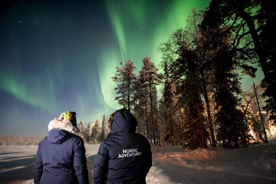 Rovaniemi: Arctic Ice Floating and Northern Lights Tour - Price and value: what you get for around $146
