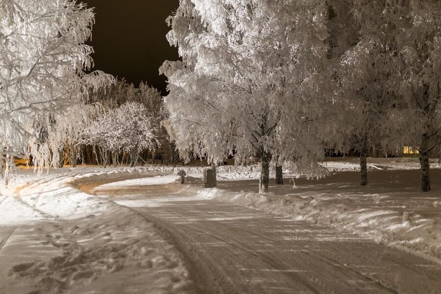 Rovaniemi: Arctic Ice Karting Tour - Your 1.5 hours, timed for two race sessions