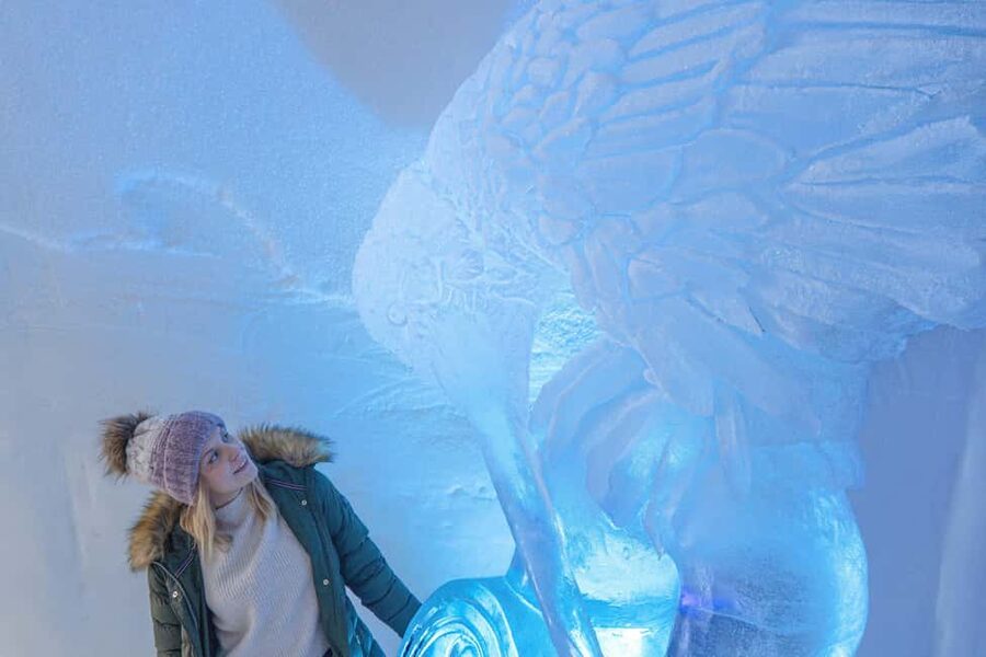Rovaniemi: Arctic SnowHotel Tour - Arctic SnowHotel in Rovaniemi: what the 3.5 hours really delivers