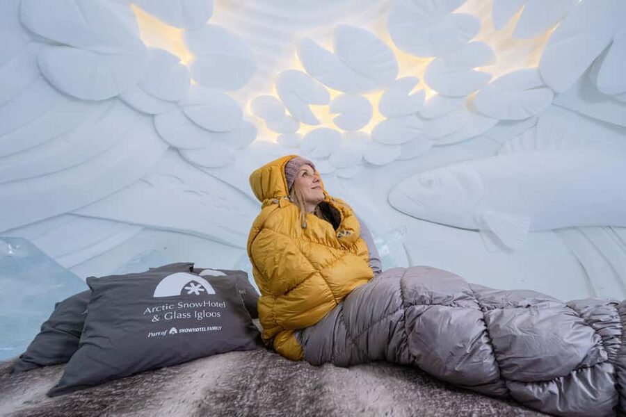 Rovaniemi: Arctic SnowHotel Tour - Who this Arctic SnowHotel tour is best for