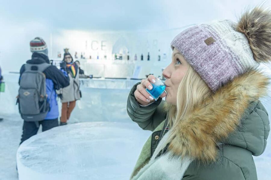 Rovaniemi: Arctic SnowHotel Tour and Dinner with Transfers - From city pickups to the SnowHotel grounds