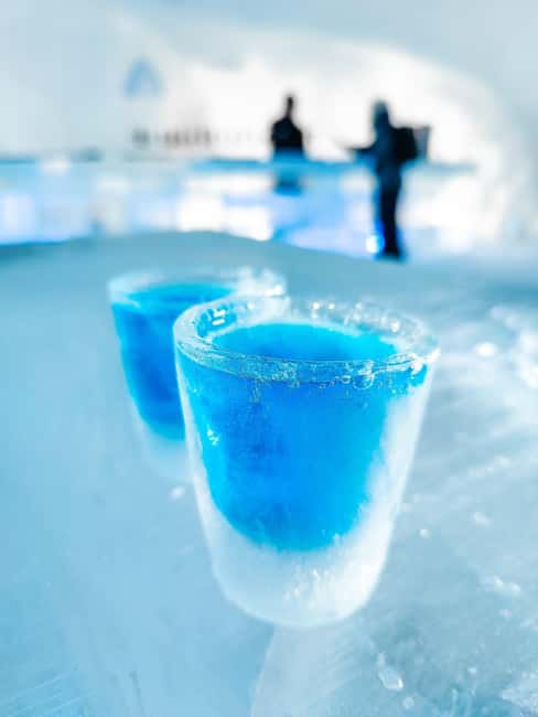 Rovaniemi: Arctic SnowHotel Tour and Dinner with Transfers - Main-course choices, from roast elk to vegan falafel