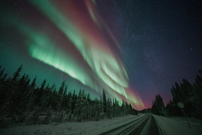 Rovaniemi: Aurora Activity Guarantee - 97% Success Rate Tour - Key takeaways before you go