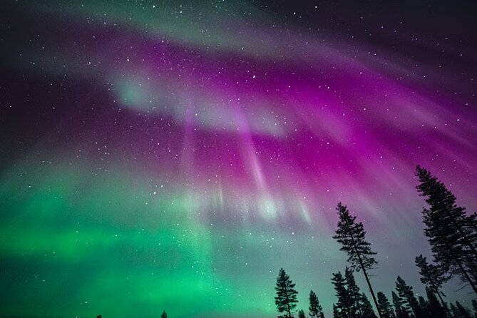 Rovaniemi: Aurora Activity Guarantee - 97% Success Rate Tour - The hunt route: Rovaniemi, Lapland, Lapland Sweden, then back