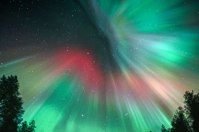 Rovaniemi: Aurora Activity Guarantee - 97% Success Rate Tour - Aurora hunting is patience, driving, and quick decisions