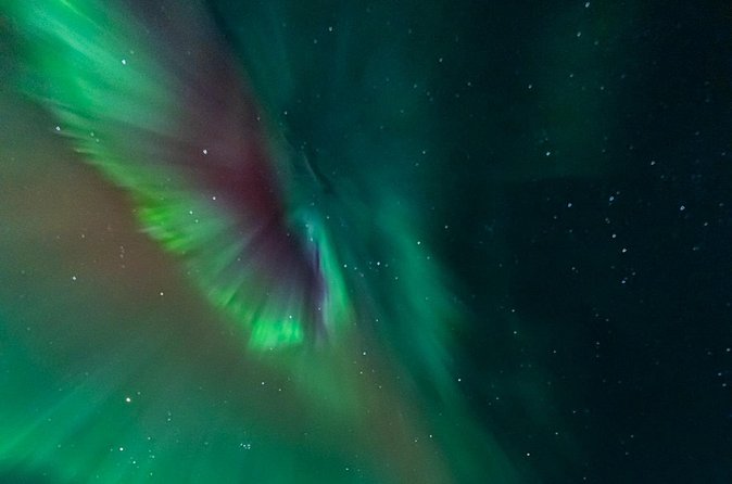 Rovaniemi: Aurora Activity Guarantee - 97% Success Rate Tour - Price and value: what $93.58 buys you in the cold dark