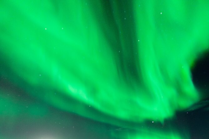 Rovaniemi: Aurora Activity Guarantee - 97% Success Rate Tour - Rovaniemi start time and the small-group feel (plus real logistics)