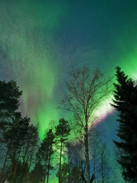 Rovaniemi: Aurora BBQ at the Best Spots - Language options: who can feel comfortable asking questions