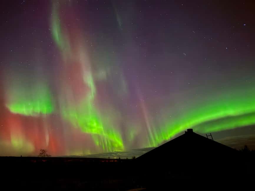 Rovaniemi: Aurora BBQ at the Best Spots - Who this tour is best for (and who may want a different plan)
