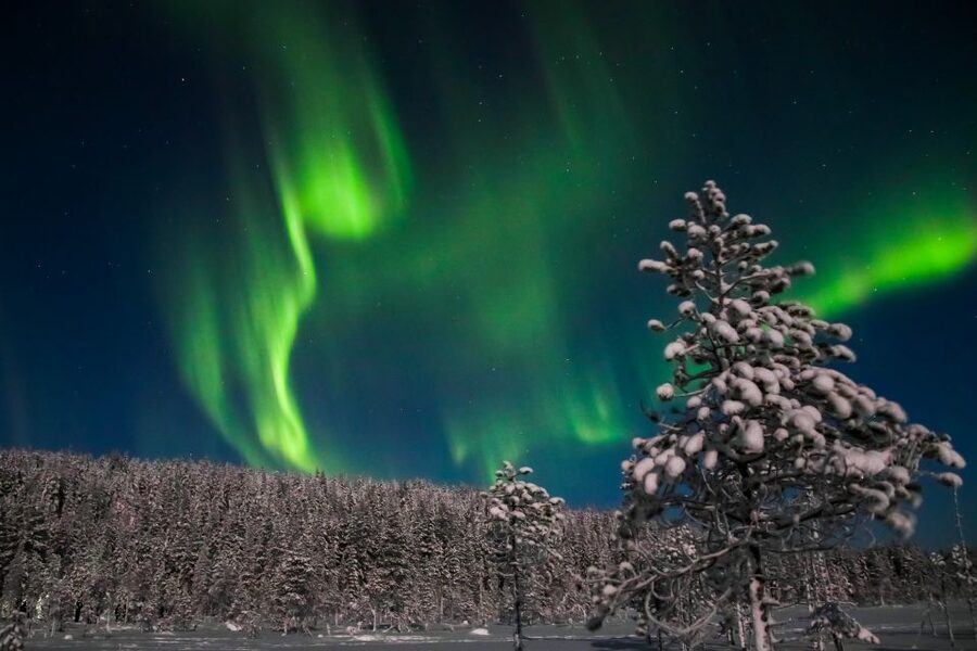 Rovaniemi: Aurora Borealis and Picnic - If weather ruins the plan: your backup option