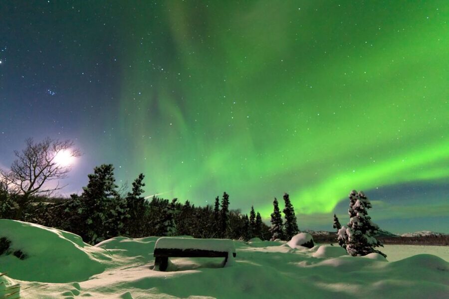 Rovaniemi: Aurora Borealis Snowmobile Safari with Campfire - Arctic Circle Snowmobile Safari: what that 4-hour night actually feels like