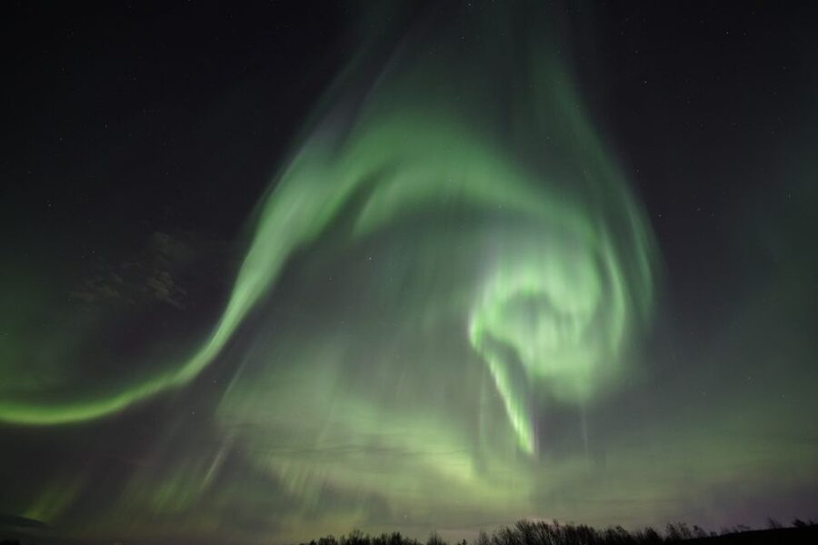 Rovaniemi: Aurora Borealis Tour - Price and value: what $135 buys you in Rovaniemi