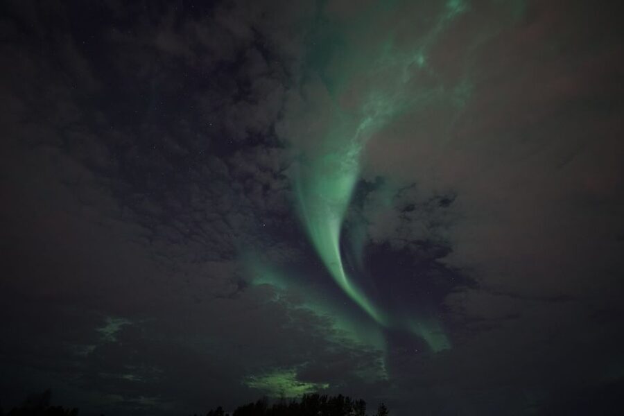 Rovaniemi: Aurora Borealis Tour - Who this tour fits best, and who should think twice