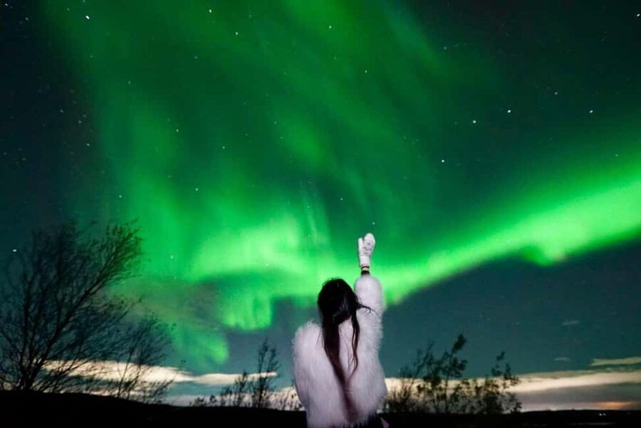 Rovaniemi Aurora Fire & Flavour — Arctic Gastronomy Tour - Key points to know before you go