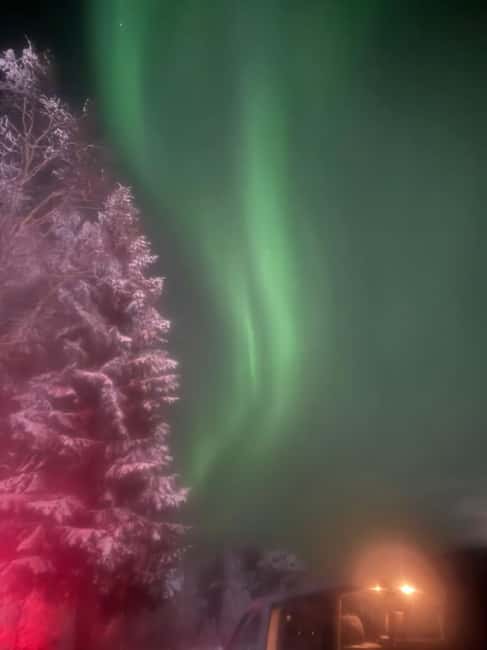 Rovaniemi Aurora Fire & Flavour — Arctic Gastronomy Tour - Who this Rovaniemi aurora food tour is best for