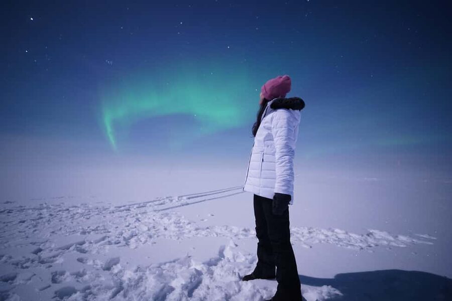 Rovaniemi: Aurora Hunt - Free Photos, 100% Guaranteed Refund - Price and Value: Why $105 Can Be a Smart Bet