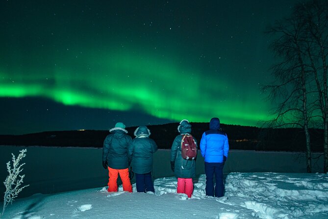 Rovaniemi: Aurora Hunt with Photograph & money back guarantee - What the actual night feels like outside