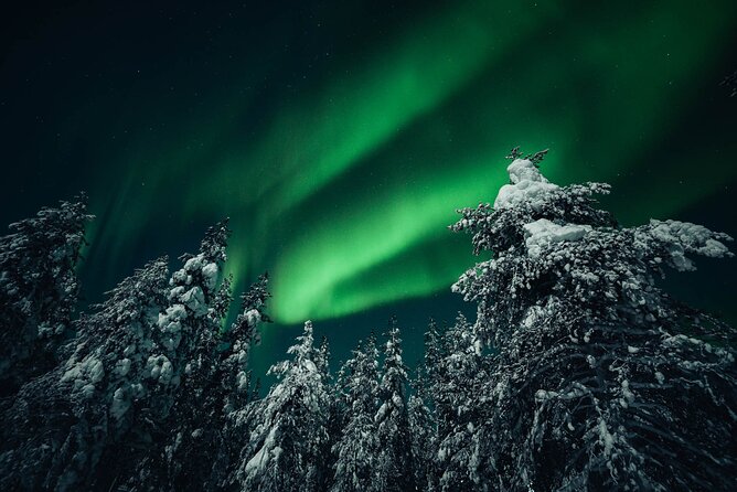 Rovaniemi: Aurora Hunt with Photograph & money back guarantee - Small-group comfort, and why it changes the photo results