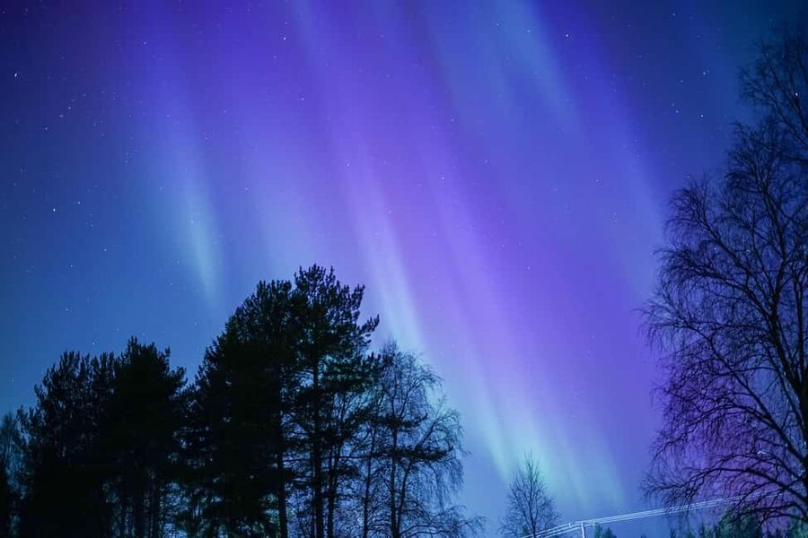 Rovaniemi: Aurora hunting and a fireside BBQ experience - Should you book this Rovaniemi aurora BBQ tour?