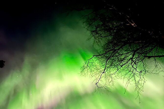 Rovaniemi: Aurora Hunting & Photography Tour - Rovaniemi at Night: 7:00 pm start and a true 5-hour commitment