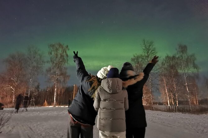 Rovaniemi: Aurora Hunting & Photography Tour - What the night feels like when the sky delivers