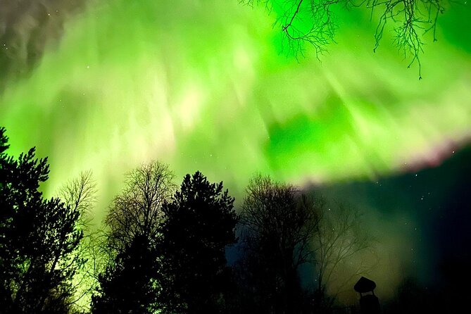Rovaniemi: Aurora Hunting & Photography Tour - Price and value: about $200 for guided aurora hunting plus gear help