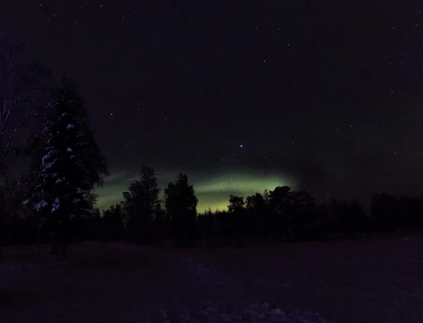 Rovaniemi: Aurora Hunting Tour in the Forest with Hot Drinks - How the Night Starts: Pickup Options and the Arctic Lifestyle Meeting Point