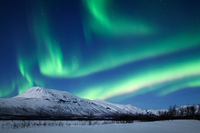 Rovaniemi Aurora Hunting Tour - Pickup and timing: the van leaves when the sky starts cooperating