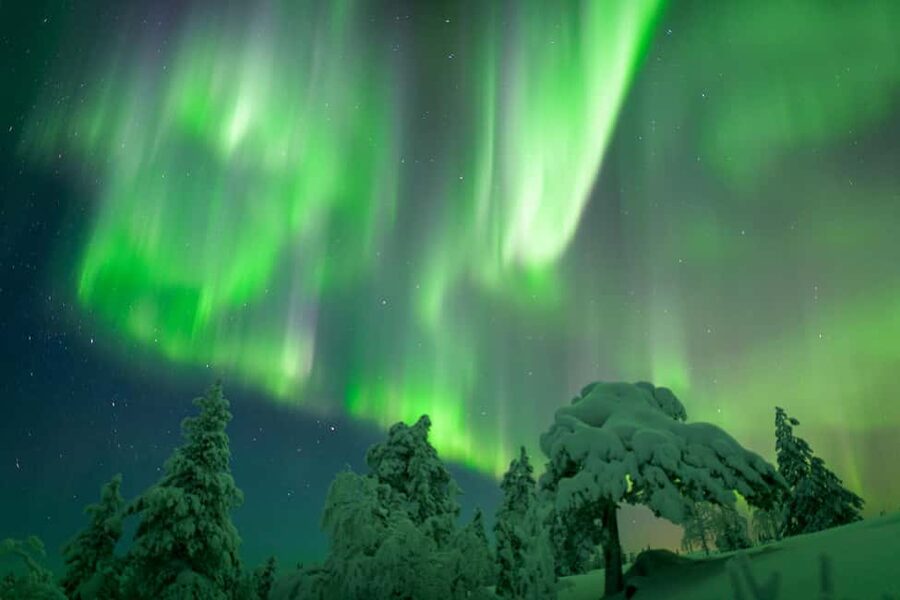 Rovaniemi: Auroras Northern Lights Trip - guaranteed lights - Key Things That Make This Aurora Trip Work