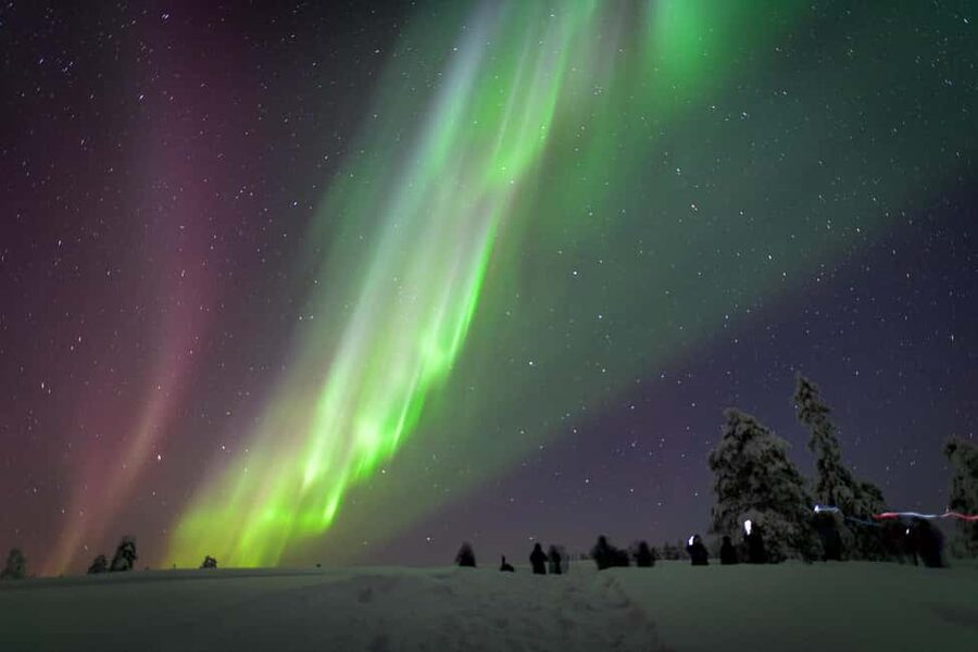 Rovaniemi: Auroras Northern Lights Trip - guaranteed lights - From City Lights to Arctic Darkness: What This Trip Feels Like