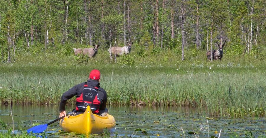Rovaniemi: Authentic Reindeer Farm & Canoeing - Key Highlights Worth Your Attention