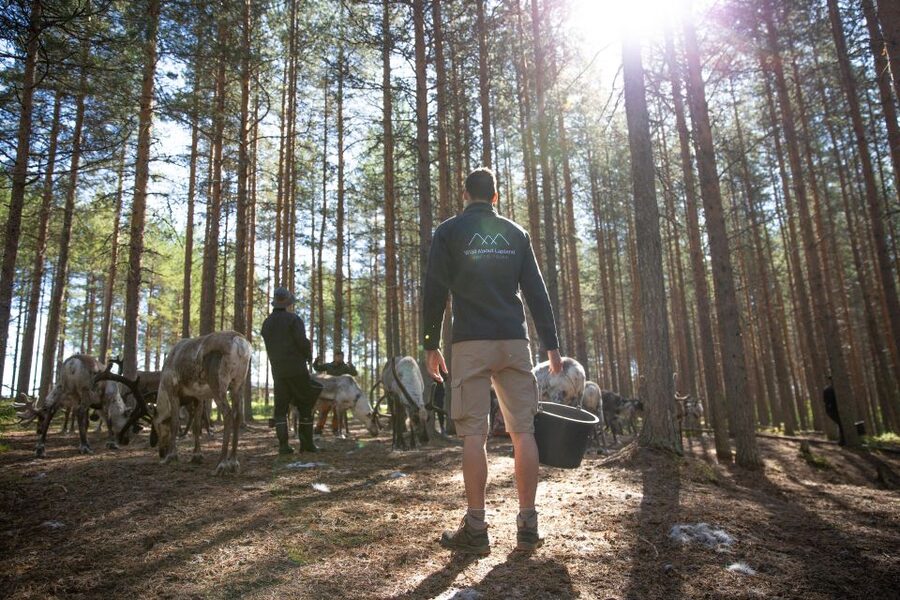 Rovaniemi: Authentic Reindeer Farm & Canoeing - FAQ