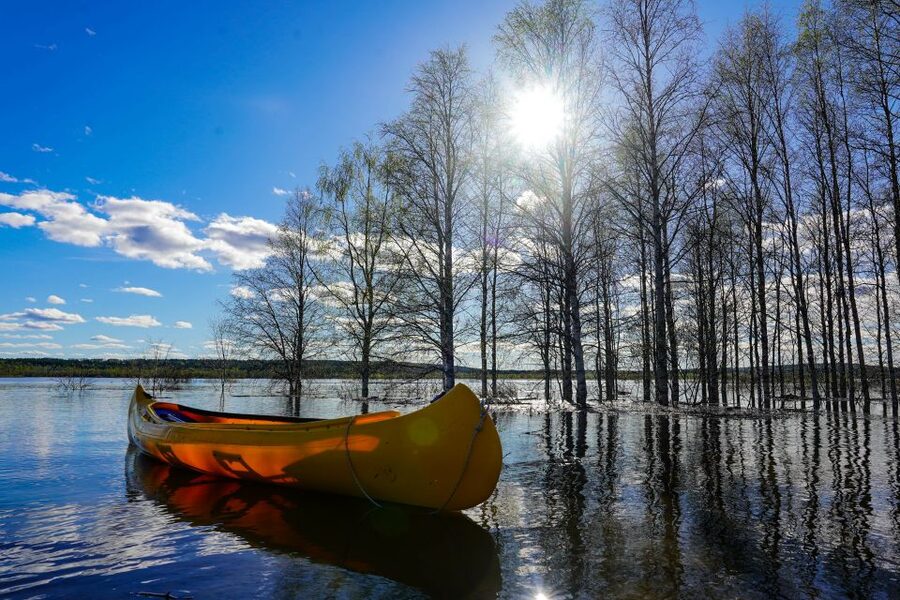 Rovaniemi: Authentic Reindeer Farm & Canoeing - Price and Value: Why $152 Can Make Sense Here