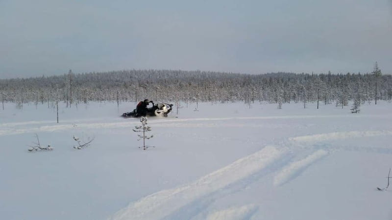 Rovaniemi: Backwoods Adventure Full Day Snowmobile Safari - How the Day Works From Rovaniemi Into the Wilderness