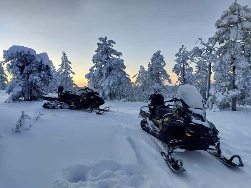 Rovaniemi: Backwoods Adventure Full Day Snowmobile Safari - The Snowmobile Experience You Actually Get: Tracks, Speed, and Control