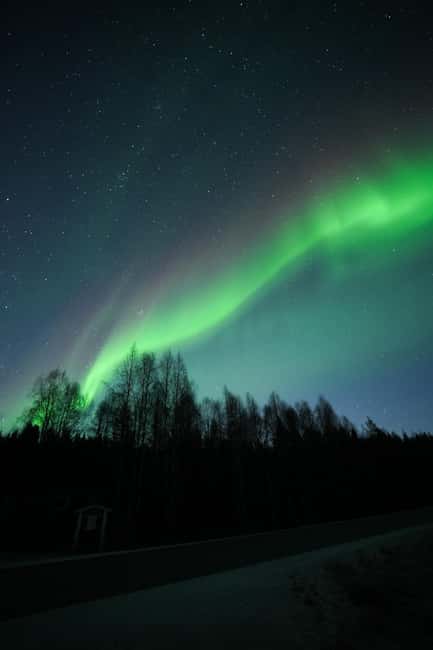 Rovaniemi: Coffee under Northern Lights & Professional Photo - Price and Value: Why $116 Can Add Up in Lapland