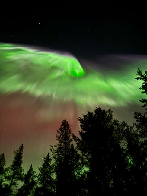 Rovaniemi: Coffee under Northern Lights & Professional Photo - Who This Northern Lights Tour Is Best For