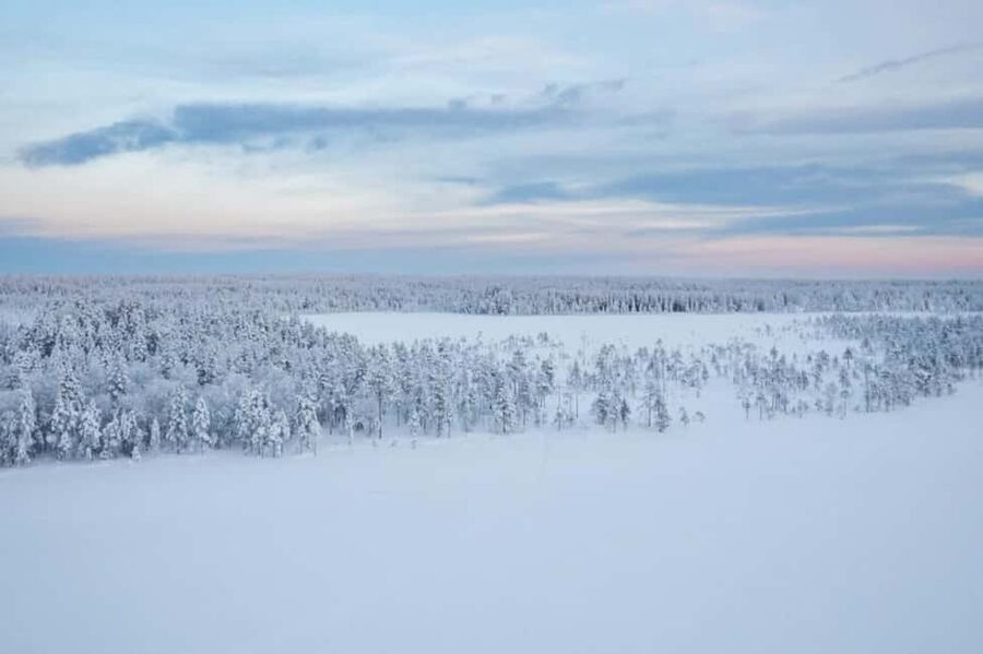 Rovaniemi: Cross-Country Skiing Adventure with Guide - Key things to know before you go