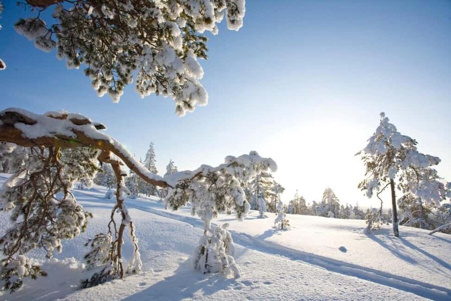 Rovaniemi: Cross-Country Skiing Adventure with Guide - Picking up in Rovaniemi: three easy starting points and simple flow